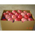 Fresh FUJI, Huaniu, Gala, Golden, Qinguan Apple